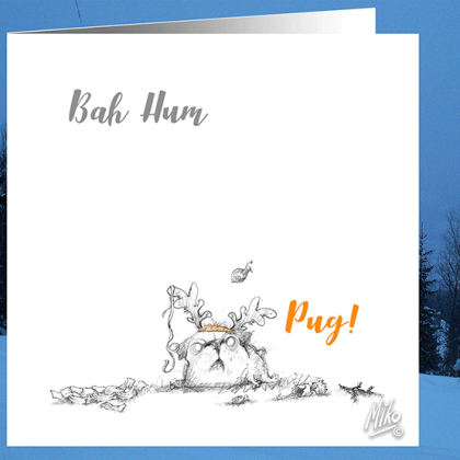 Bah-Hum-Pug-against-blue-mountains
